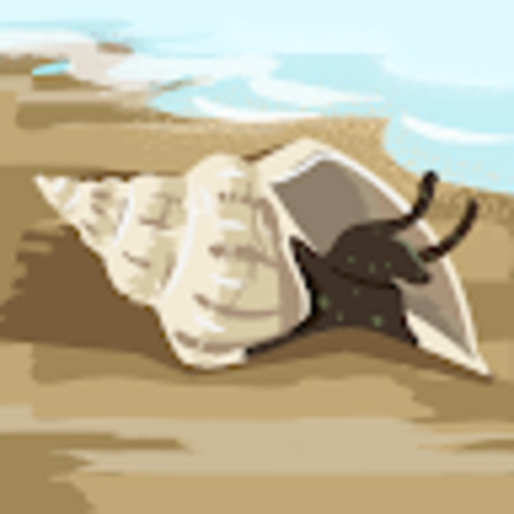 Meet your Posher, Brenna